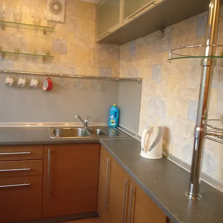 Apartment On Vandy Vasylevskoi 8